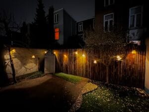 Tuin met gras, bamboe schutting, met bomen en blaadjes op de grond, met priklicht in de bomen hangend